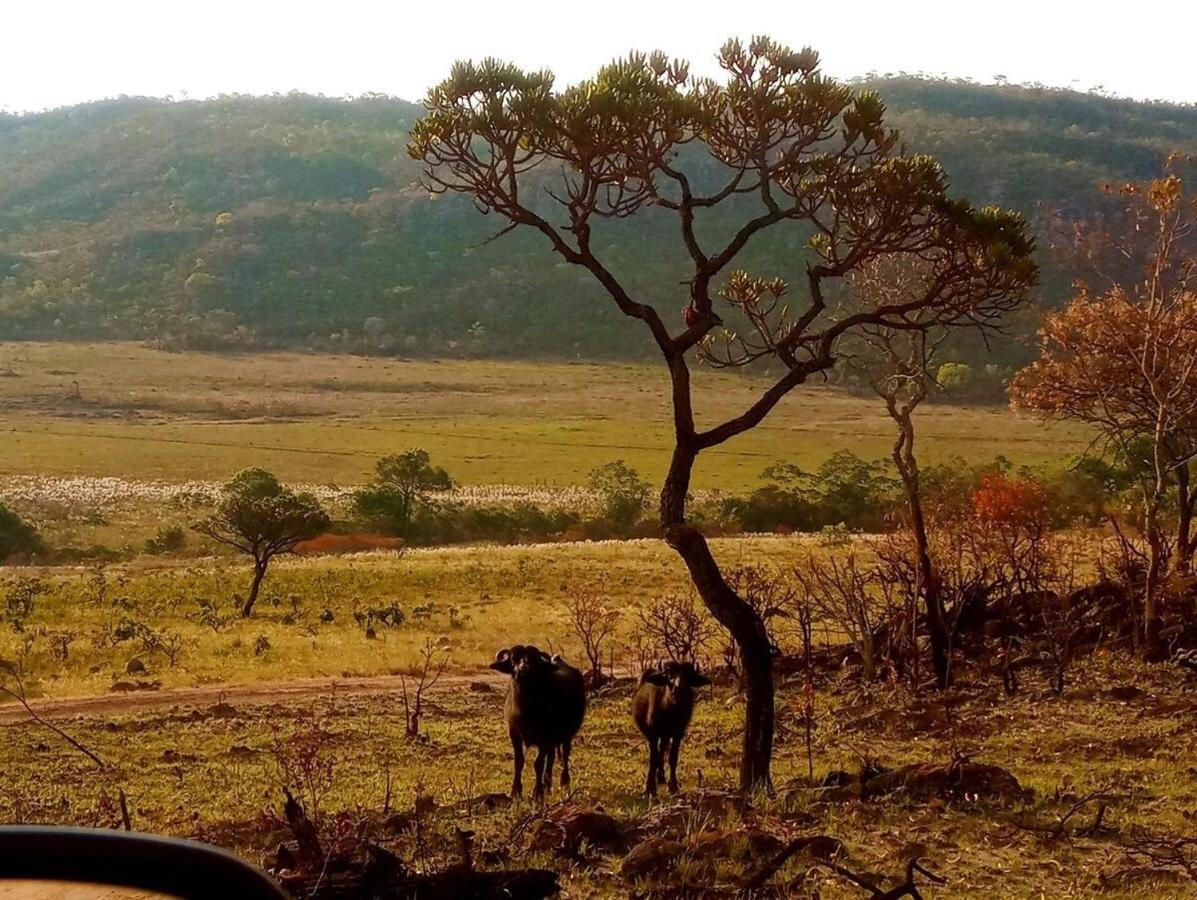 Villa Agape - Chapada Dos Veadeiros Alto Paraíso de Goiás 외부 사진