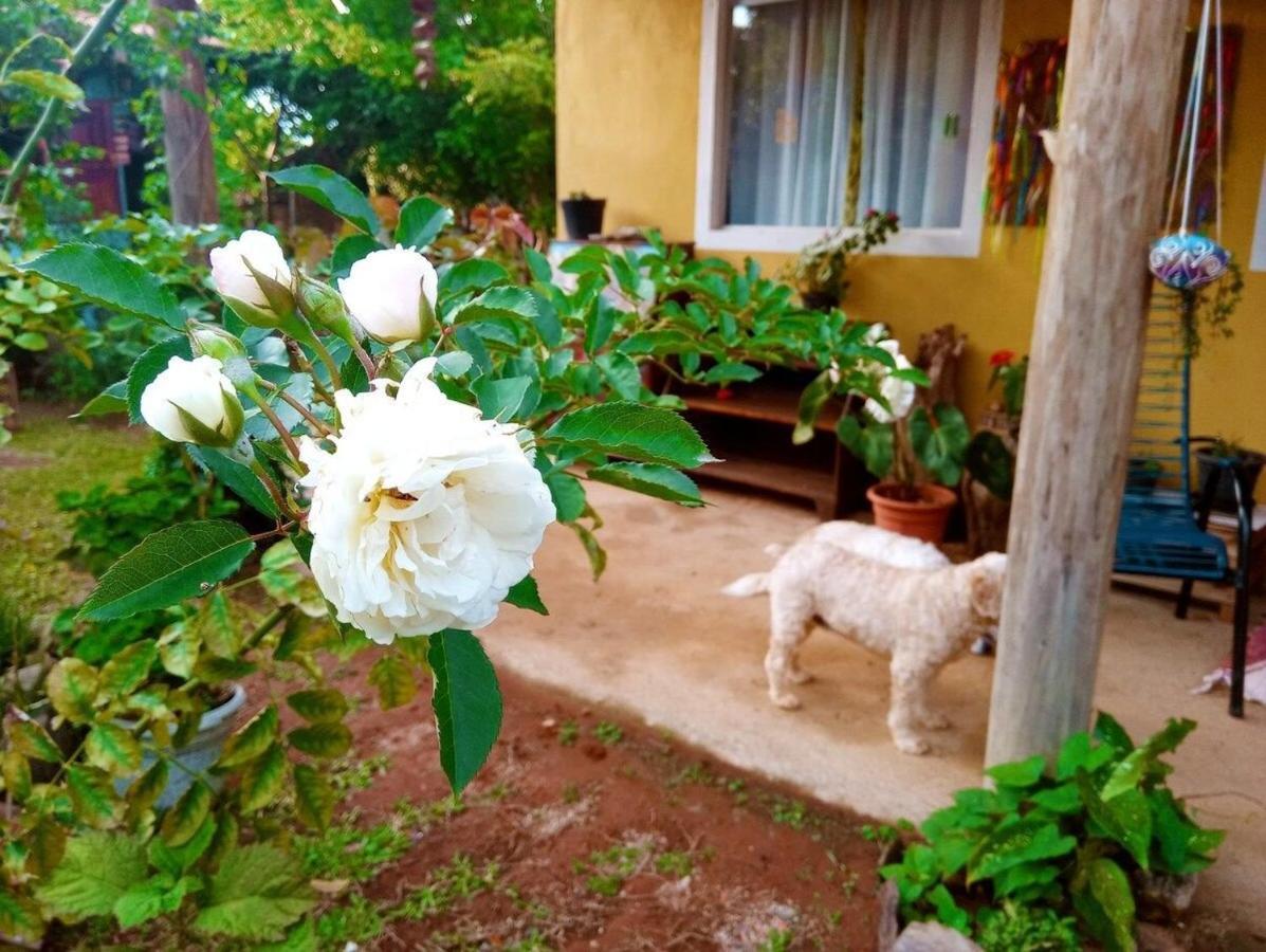 Villa Agape - Chapada Dos Veadeiros Alto Paraíso de Goiás 외부 사진