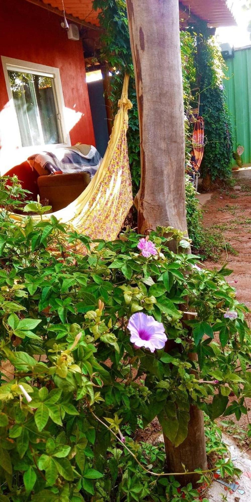 Villa Agape - Chapada Dos Veadeiros Alto Paraíso de Goiás 외부 사진