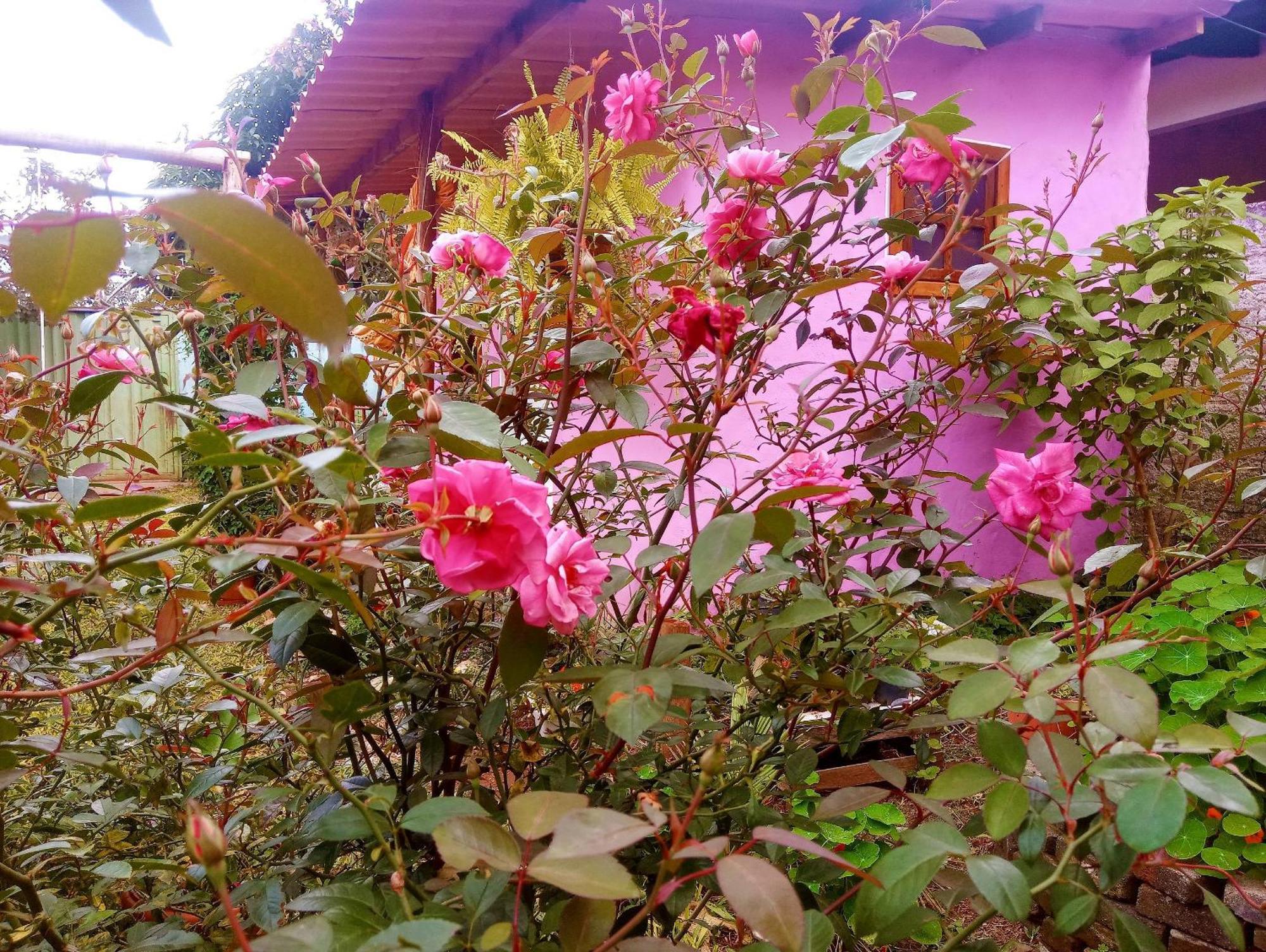 Villa Agape - Chapada Dos Veadeiros Alto Paraíso de Goiás 외부 사진